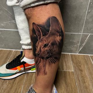 Realism sphynx cat tattoo by @filippidis_tattoo