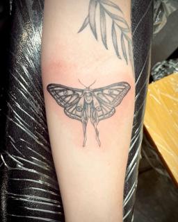 Fine line ornate moth tattoo by @fresh.ink.anna