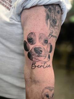 Realism dog paw portrait tattoo by @meerkatstattoo