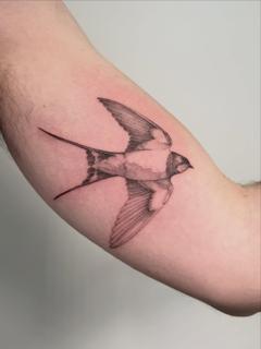 Fine line flying swallow tattoo by @brittbeale