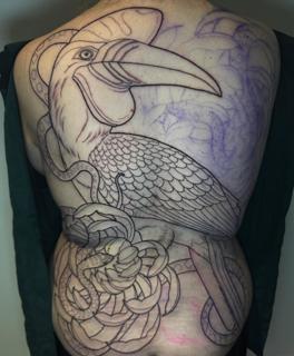 Linework toucan and snake tattoo by @charliesullivantattoo