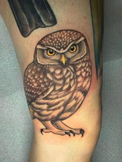 Realism realistic owl tattoo by @charliesullivantattoo