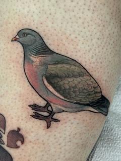 Realism pigeon tattoo by @charliesullivantattoo