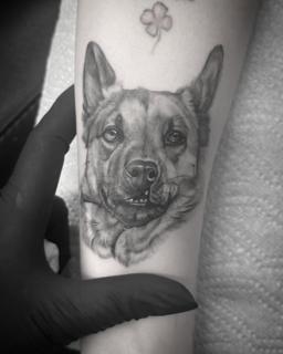 Realism dog portrait tattoo by @chazappletattoo