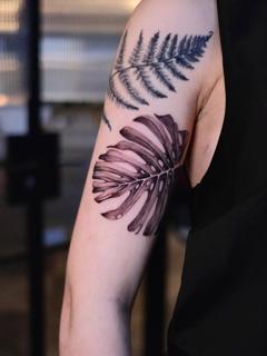 Illustrative monstera fern tattoo by @itschloepeach
