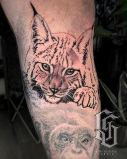 Realism bobcat portrait tattoo by @chrissimstattoo