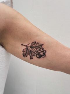 Fine line leafy berries tattoo by @clairedaisytattoos