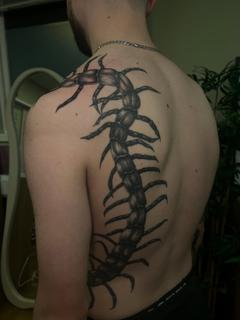 Illustrative centipede tattoo by @claretatts