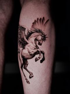 Realism pegasus tattoo by @insomnia_zls