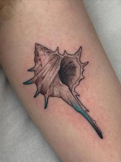 Dotwork illustrative spiky seashell tattoo by @ellsy_pulltattoos