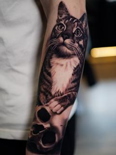 Realism cat on skull tattoo by @ellietaylor.tattoos