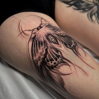 Dotwork moth tattoo by @rotten_soull