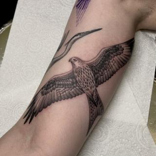 Realism flying bird tattoo by @justbethtattoo