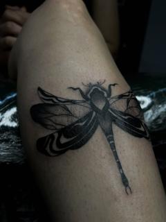 Blackwork dragonfly tattoo by @lahaine_tattoo