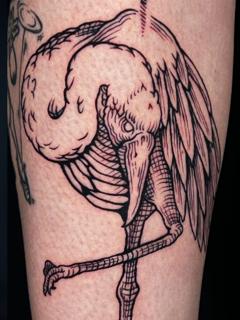 Illustrative skeletal bird tattoo by @whymetattoo