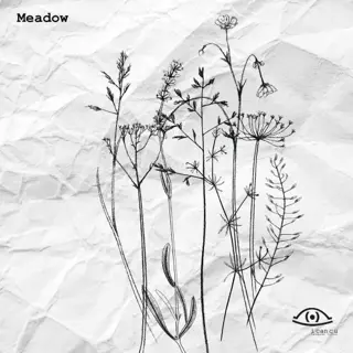 Fine line botanical meadow plants tattoo by @icancu_tattoo
