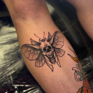 Blackwork skull moth tattoo by @jammersink