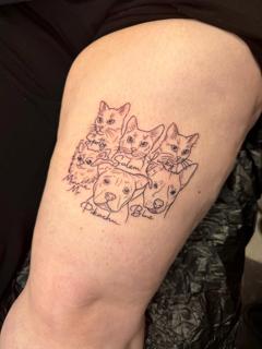 Fine line pet portraits tattoo by @jem_lou_tattoo