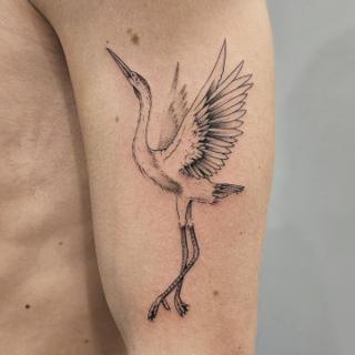 Fine line flying crane tattoo by @paradox_tattoos