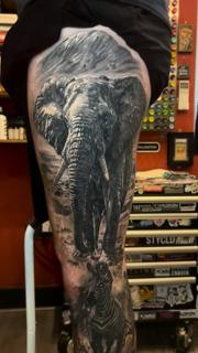 Realism elephant and zebra tattoo by @joshwaatattoo