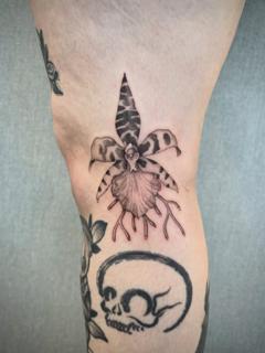 Illustrative rooted orchid tattoo by @karolina_tattooer