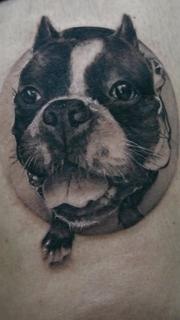 Realism dog portrait tattoo by @ladylia_art