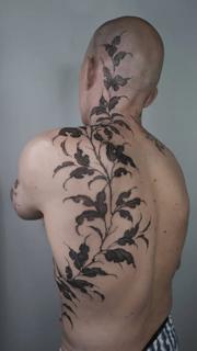 Blackwork botanical vine tattoo by @marisatattooartist
