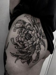 Blackwork floral chrysanthemum tattoo by @matina_macabre_tatt