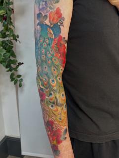 Realism peacock tattoo by @nikole_lowe