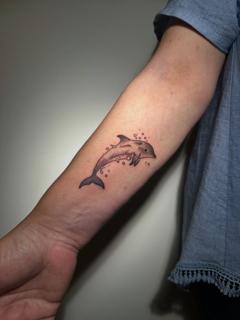 Fine line dolphin tattoo by @mrduke__inkaholic
