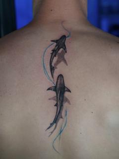 Realism sharks tattoo by @nikoselmaidis_tattoo