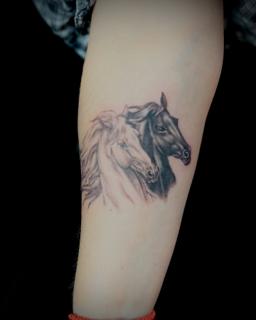 Realism horse heads tattoo by @nikosrodis