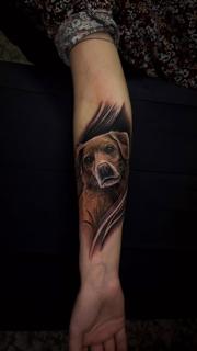 Realism dog portrait tattoo by @noemikovacstattoo