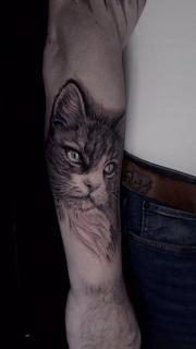 Realism realistic cat tattoo by @noemikovacstattoo