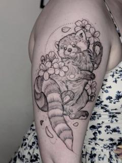 Fine line red panda tattoo by @nox.tattoos
