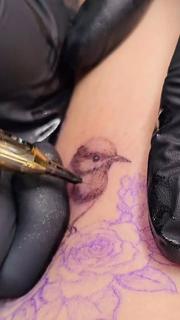 Realism realistic bird tattoo by @tattooist_rimi