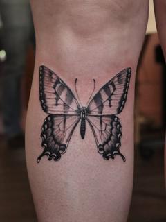 Realism butterfly tattoo by @sammylou_tattoo