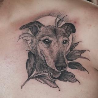 Realism dog portrait tattoo by @sammylou_tattoo