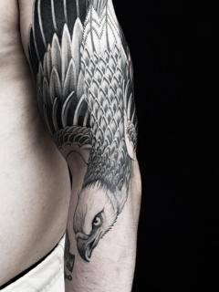 Blackwork eagle tattoo by @sophiemoillustration