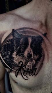 Realism dog portrait tattoo by @stefan.catalin.druga