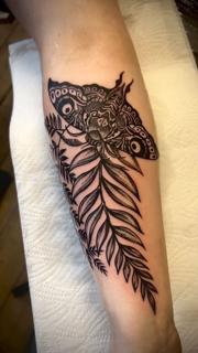 Blackwork moth and fern tattoo by @curwen_tattoo
