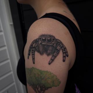 Realism realistic spider tattoo by @tattoosbycay