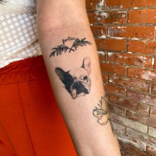 Realism french bulldog tattoo by @titotattooart_