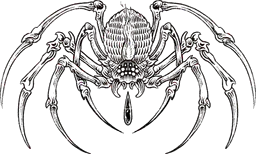 Blood Drop Spider by @poco