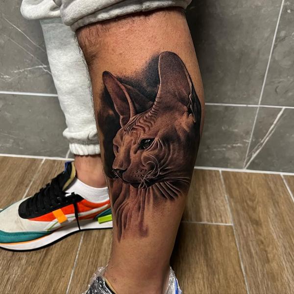 Realism sphynx cat tattoo by @filippidis_tattoo
