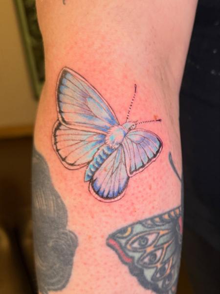 Realism blue butterfly tattoo by @__aleksav