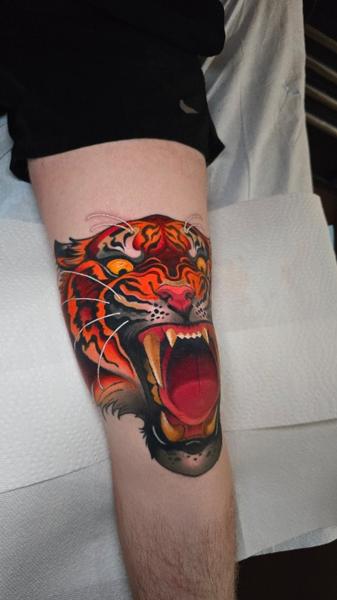 Traditional roaring tiger tattoo by @_hamiltontattoo