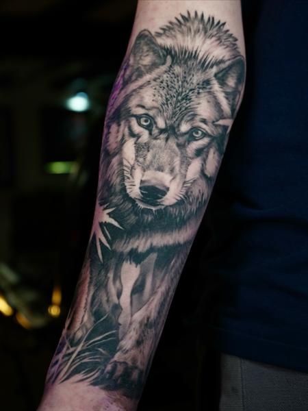 Realism wolf portrait tattoo by @akuznecovas_tattoo