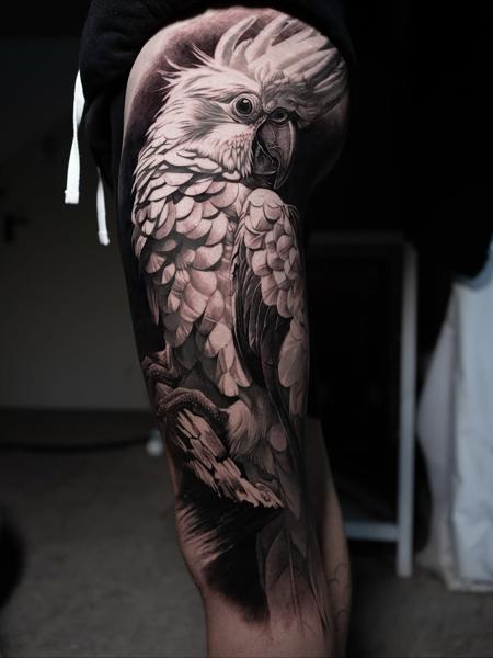 Realism detailed parrot tattoo by @alx.tattooart