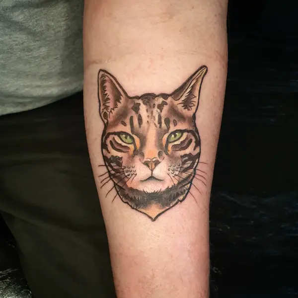 Realism cat portrait tattoo by @alexingart